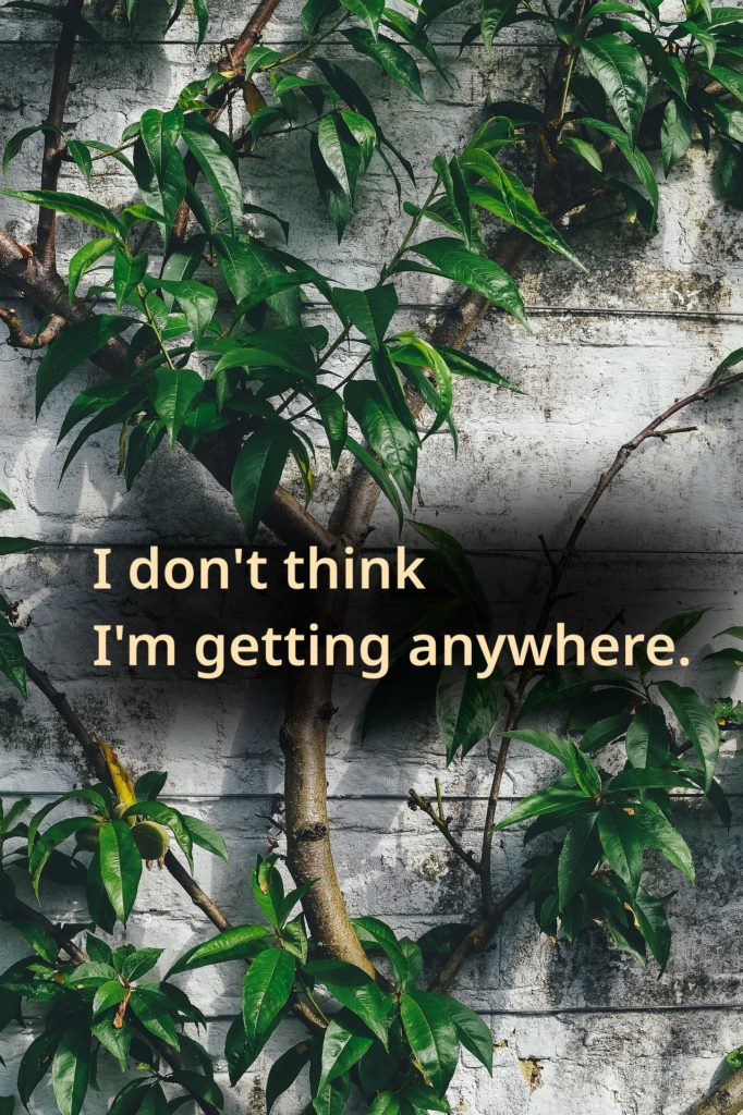 A young tree grows up against a white-painted brick wall.
Text: I don't think I'm getting anywhere.