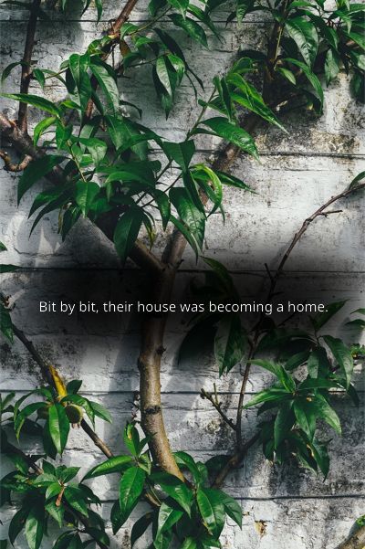 A sturdy sapling grows against a white painted brick wall.
Text: Bit by bit, their house was becoming a home.